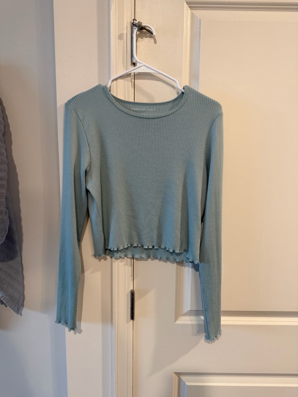American Eagle Outfitters Light Blue Ribbed Long-Sleeve Crop Top